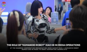 Humanoid Robot