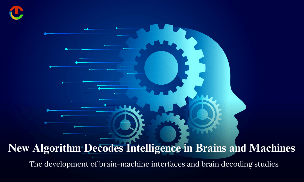 New Algorithm Decodes Intelligence in Brains and Machines
