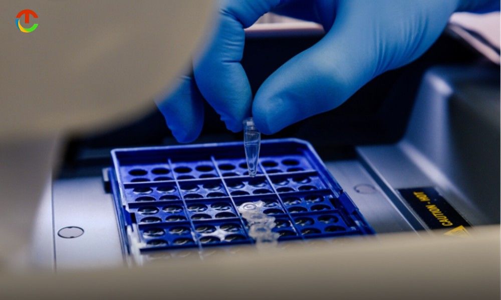 How-Do-Custom-ELISA-Kits-Improve-Sensitivity-And-Specificity-In-Detection