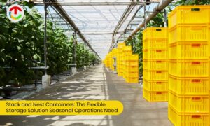 Stack and Nest Containers: Flexible Storage Solution | CIO Times Magazine