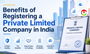 Benefits of Private Limited Company Registration in India | CIO Times Magazine