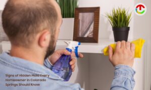 Signs of Hidden Mold Every Homeowner in Colorado Springs | CIO Times Magazine
