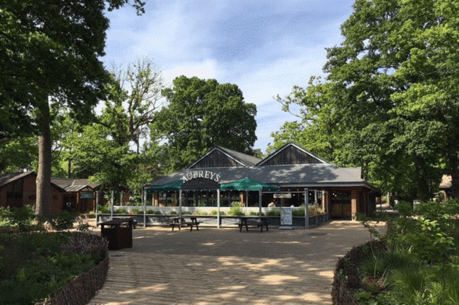 Smarter Way To Search For Lodges For Sale UK | CIO Times Magazine 