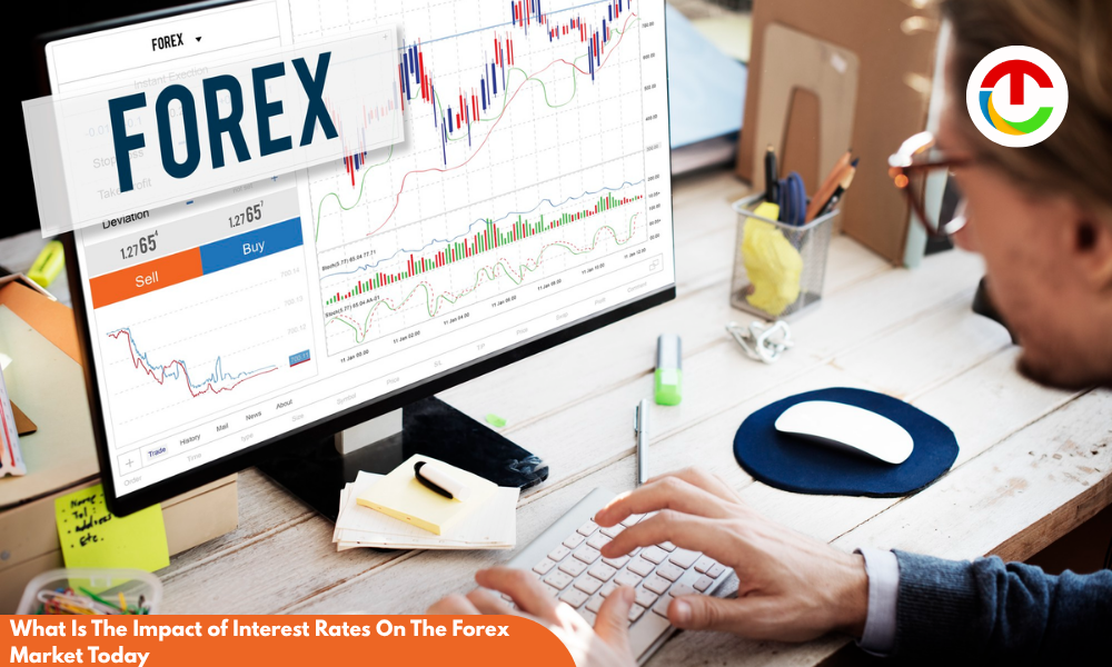 Forex Market Today : What Is The Impact of Interest Rates ? | CIO Times Magazine