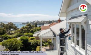 What Makes a Great Painter in Lower Hutt? Here’s What to Look For