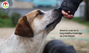 Dog liability Insurance What to Look for in Coverage as a Pet Parent? | CIO TImes Magazine
