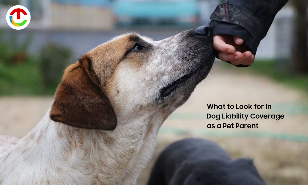 Dog liability Insurance What to Look for in Coverage as a Pet Parent? | CIO TImes Magazine
