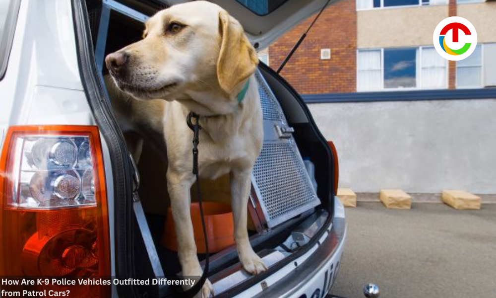 How Are K-9 Police Vehicles Outfitted Differently from Patrol Cars? | CIO Times Magazine